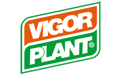 vigorplant