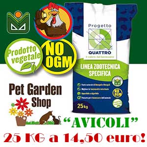 pet garden shop perugia offerte 2017